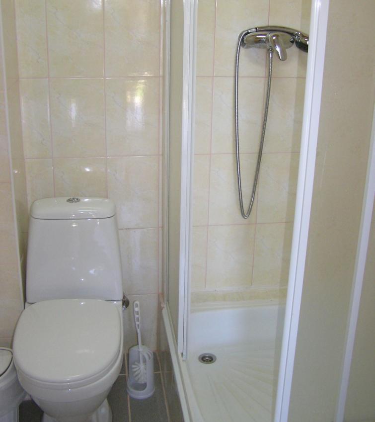 Vedmid Hotell Myslovka Rum bild